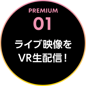 PREMIUM 01 ライブ映像を VR生配信！